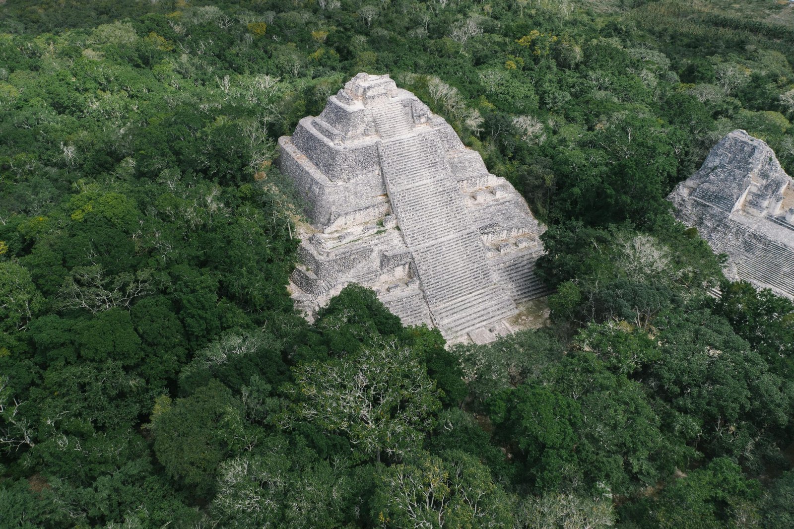 Calakmul Meksika